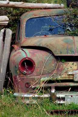  Aged Standard
